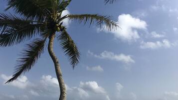Sun loungers, beach towels