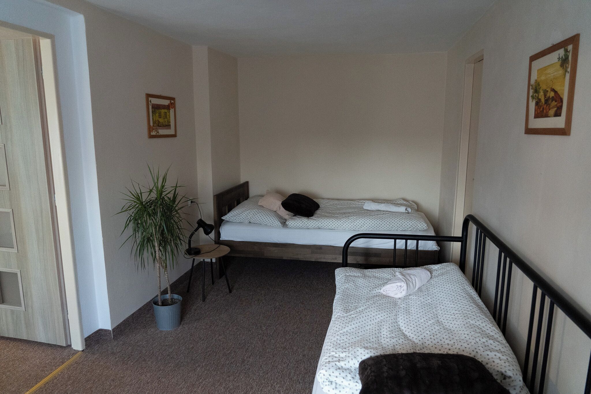 A small, single-room accommodation with two beds, a potted plant, and a door leading to another room.