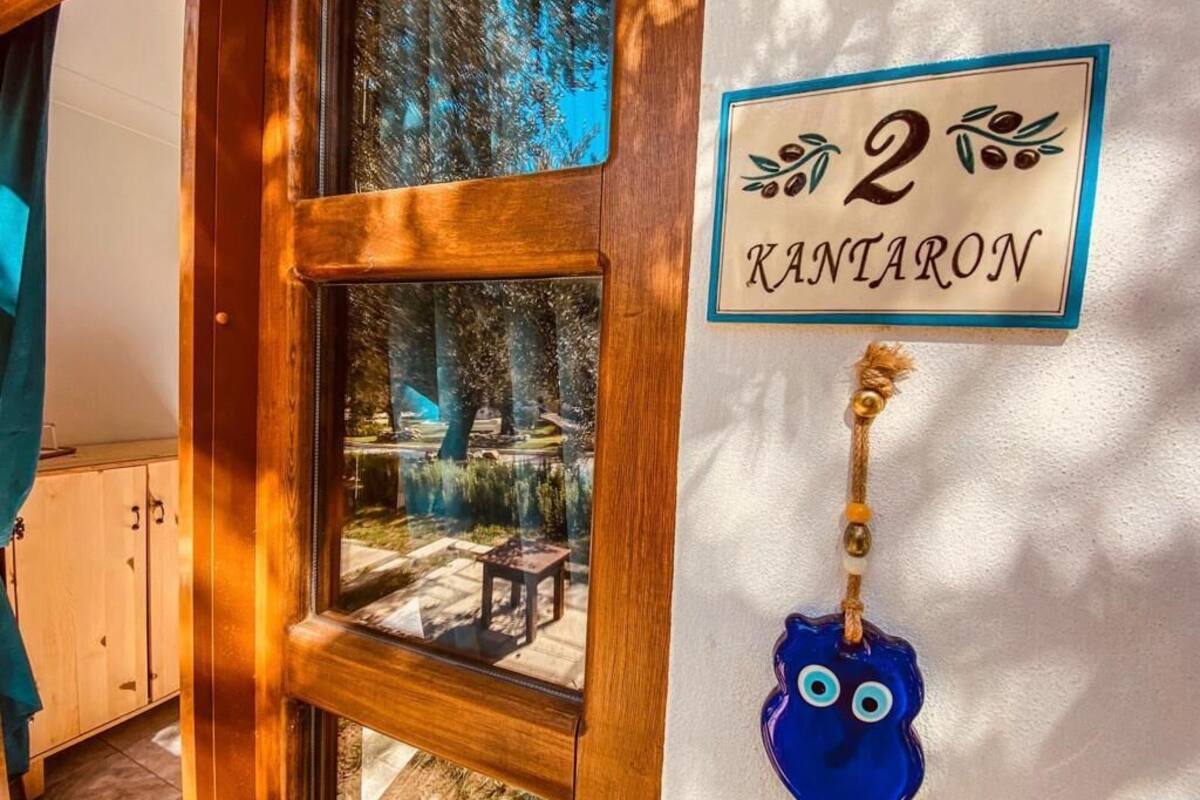 A wooden door with a window revealing a view of a garden and a wooden bench. A sign on the wall reads "2 KANTIARON" with a decorative blue owl ornament.