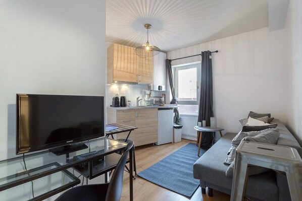 TV - Entrance of the artists (Lyon)