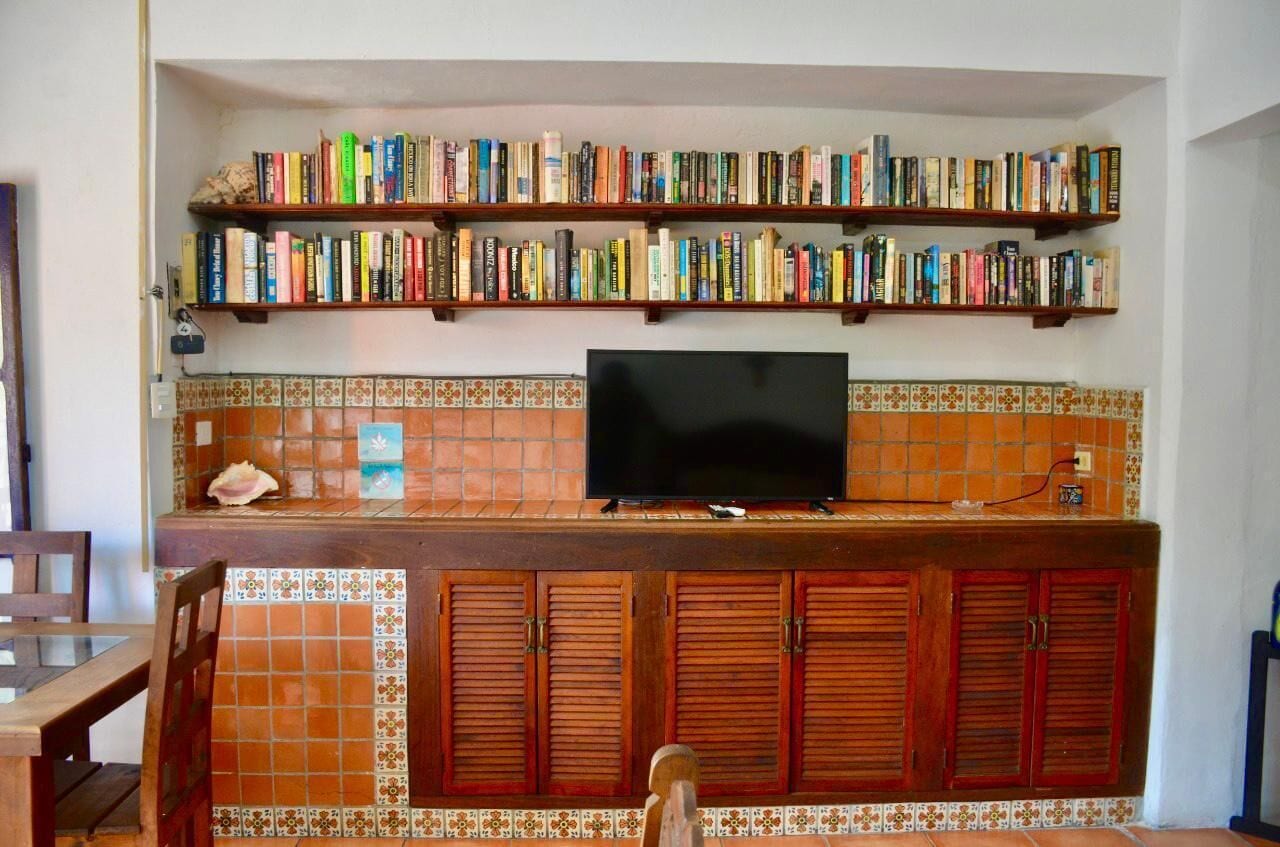 Un salon avec un téléviseur, une bibliothèque et un mur recouvert de carreaux.