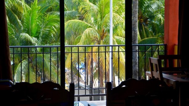 A room with a large window overlooking a lush tropical garden with palm trees. - Beach FrontFully  Equipped Suite # 4 (Centro - Supmza. 001)