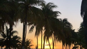 A beach with palm trees and a sunset. - Beach FrontFully  Equipped Suite # 4 (Centro - Supmza. 001)