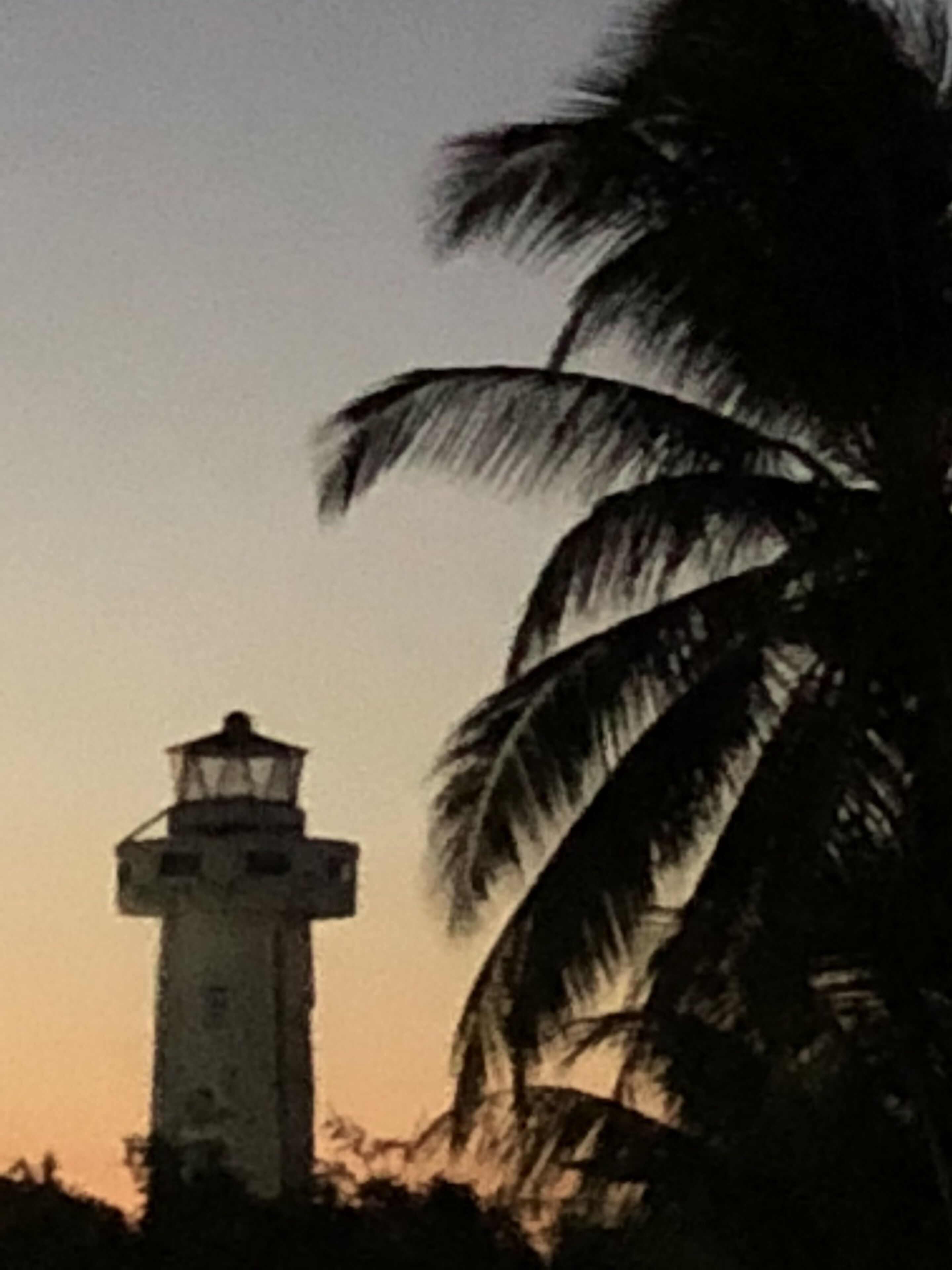 A lighthouse silhouette against a sunset sky, with a palm tree in the foreground.