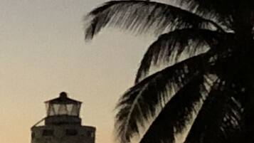 A lighthouse silhouette against a sunset sky, with a palm tree in the foreground.
