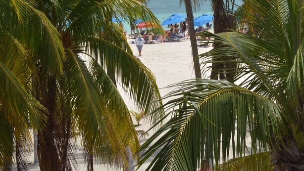 A beach scene with palm trees, a sandy shore, and people in the background.