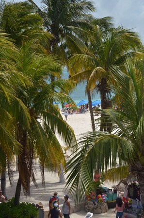 A beach scene with palm trees, a sandy shore, and people in the background. - Beach Front Full Equipped Suite # 2 (Centro - Supmza. 001)