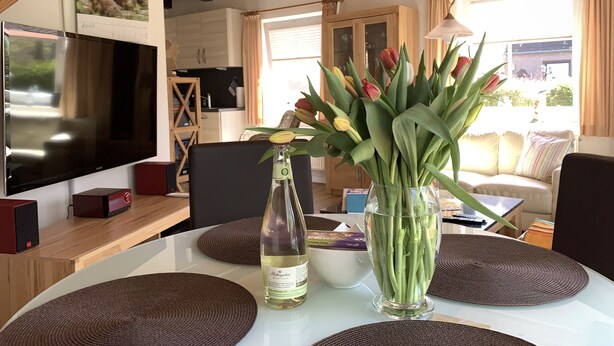 A modern living room with a flat-screen TV, a glass bottle, and a vase with tulips on a white table. - Maxe house, Paula house - golf course, beach and surfing area within walking distance (Wulfen)