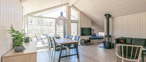 تلفزيون، مدفأة