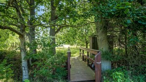 A wooden bridge leading into a wooded area with dense foliage and trees. - Beautiful home in Rønne with WiFi (Rønne)