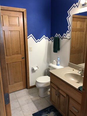 Combined shower/bathtub, towels, toilet paper