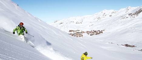 Sneeuw- en skisporten