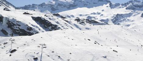 Sneeuw- en skisporten