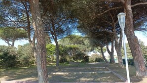 A park with pathways, trees, and a lamppost.