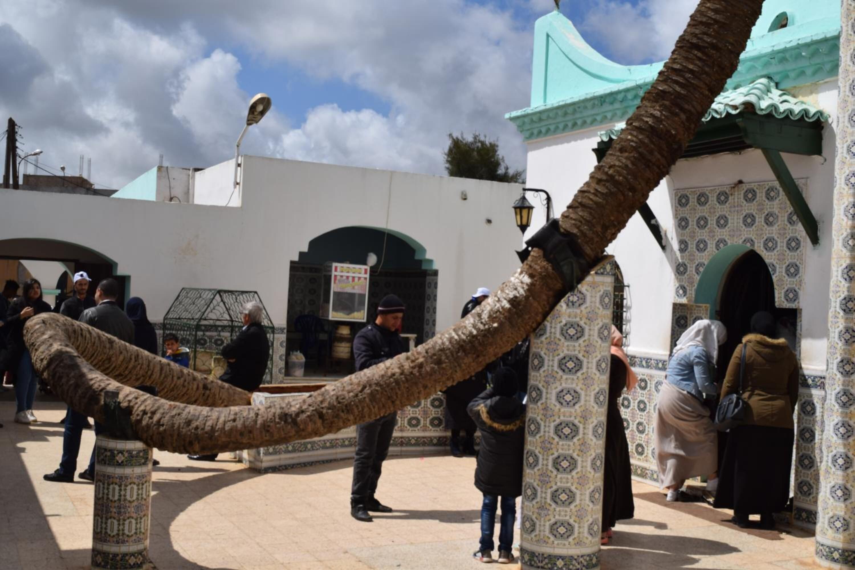 Un patio con una palmera, gente y un edificio con baldosas decorativas.