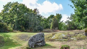 A natural landscape with a large rock, a small pond, and dense trees.