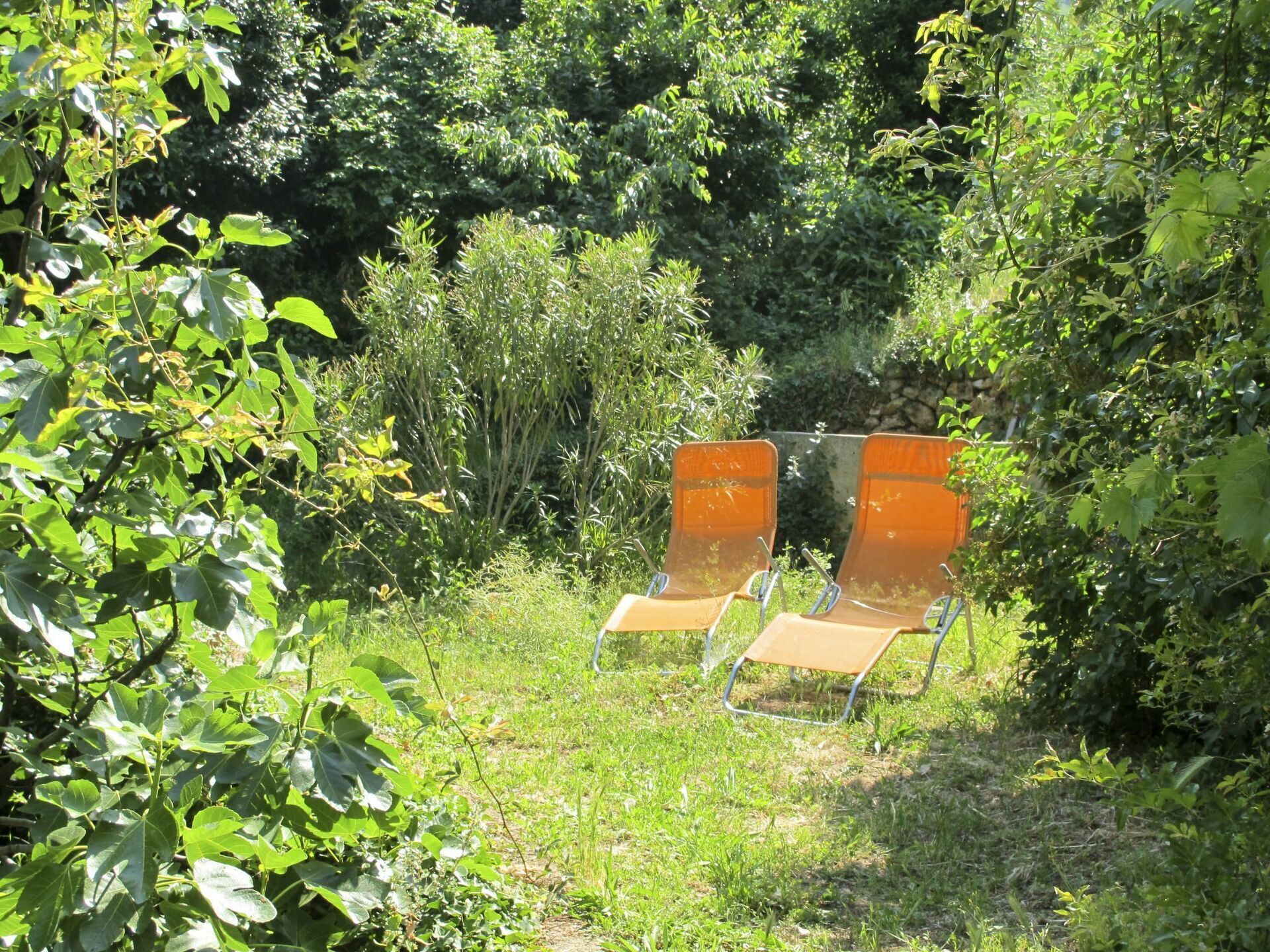 Vegetation, Nature Reserve, Jungle, Green, Natural Landscape, Biome, Natural Environment, Plant Community, Botany, Forest