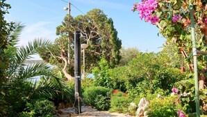 Un chemin de jardin pavé de pierres, bordé d’une végétation luxuriante et de plantes en fleurs.