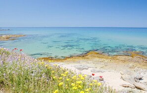 Beach nearby - Beautiful apartment in Stintino (Stintino)