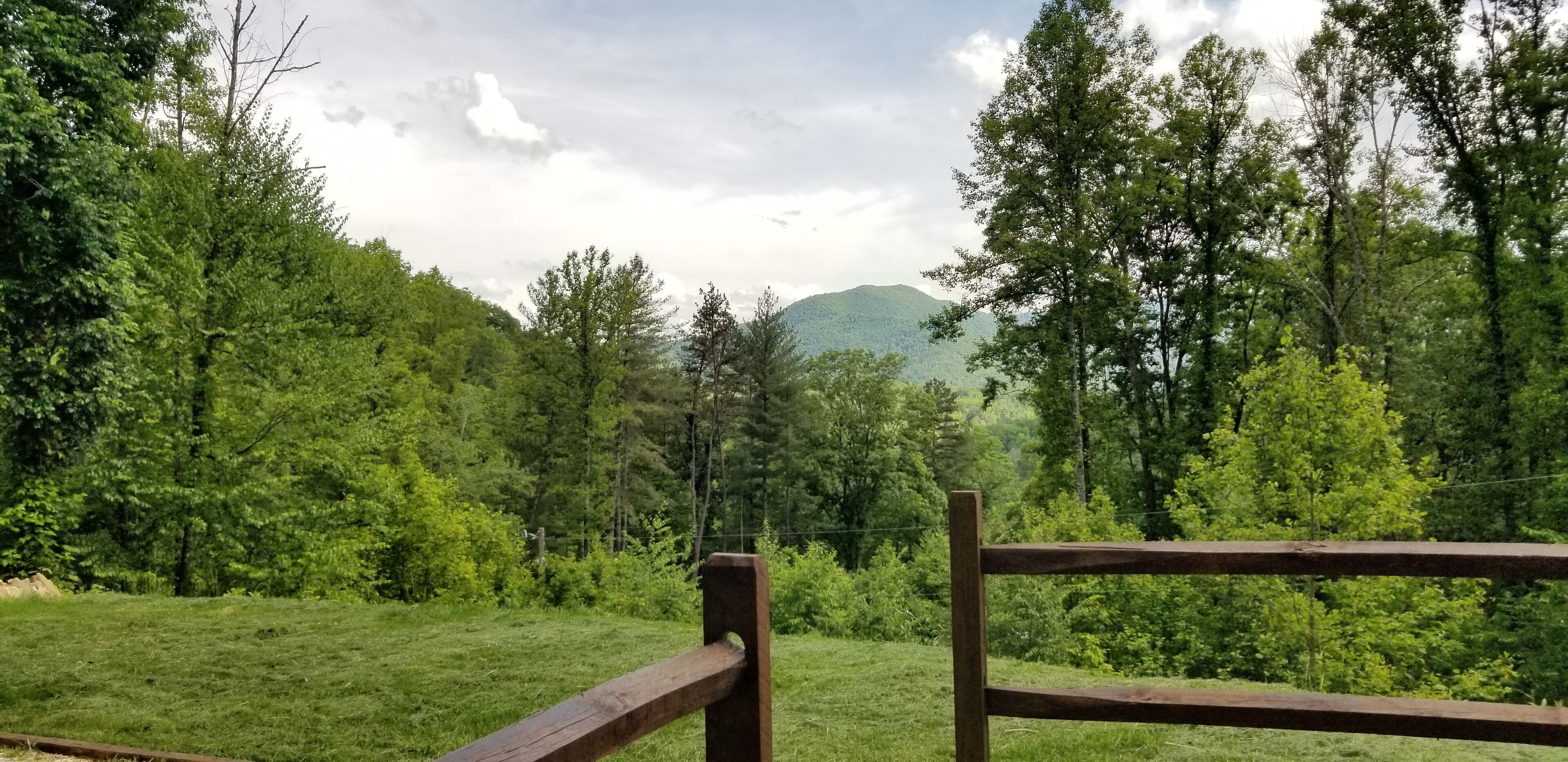 Toasted Marshmallow Dog friendly 2 BR wView! WCU, Casino, hiking, rafting & BRP