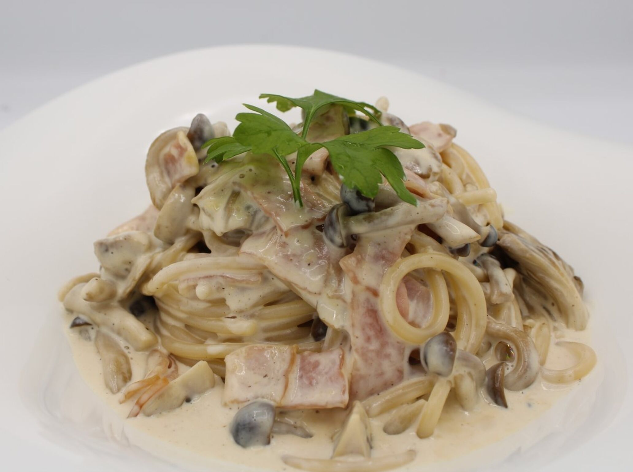 A plate of pasta with a creamy sauce, garnished with parsley.