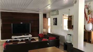 Smart TV, video games, books, video library