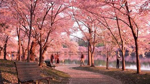 المنطقة المحيطة بالمنشأة