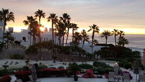 A coastal resort with palm trees, a beach, and a sunset. - Casa Del Mar Beachnest (San José del Cabo)