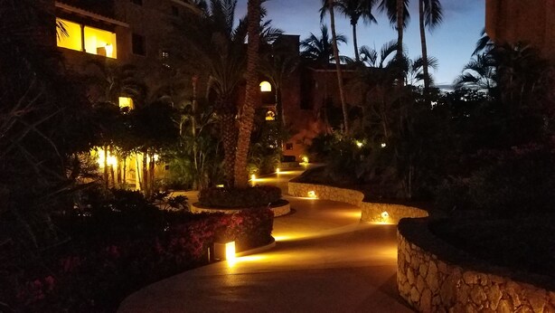 A nighttime view of a resort pathway with illuminated plants and palm trees, leading to a building with warm interior lighting. - Casa Del Mar Beachnest (San José del Cabo)