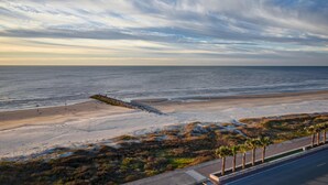 A coastal road with a beach and palm trees. - Holiday Inn Express And Suites Galveston Beach (Galveston)