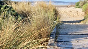 A wooden boardwalk leading to a sandy beach with tall grass on the left. - Hakea King Suite- Inlet Waters Escape. Stroll the inlet & nature boardwalk (Inverloch)