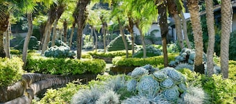 OMG Villa Jaguar Mama Avocado Farm and Private Estate in the Hills of Antigua