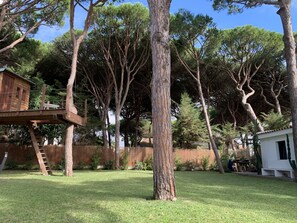 Property grounds - Discover Andalusia in a different way - the protected and authentic Atlantic coast (conil de la frontera)