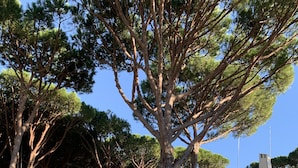 A poolside area with a clear view of a building, a fenced yard, and a few wooden chairs. - Discover Andalusia in a different way - the protected and authentic Atlantic coast (conil de la frontera)