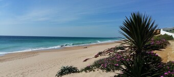 Descubra Andalucía de una manera diferente: la costa atlántica protegida y auténtica