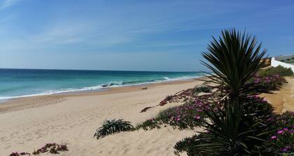 Découvrez l'andalousie autrement - la cÎte attlantique protégée et authentique