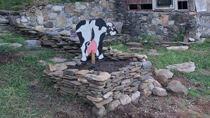 Unclassified image, 2 of 17, button - The Old Sindelar Farm (East Haddam)