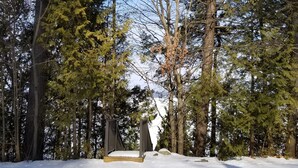 A snow-covered outdoor area with a wooden bench and a small table, surrounded by tall evergreen trees. - BEAUTIFUL FOUR SEASON WATERFRONT COTTAGE (Innisfill)