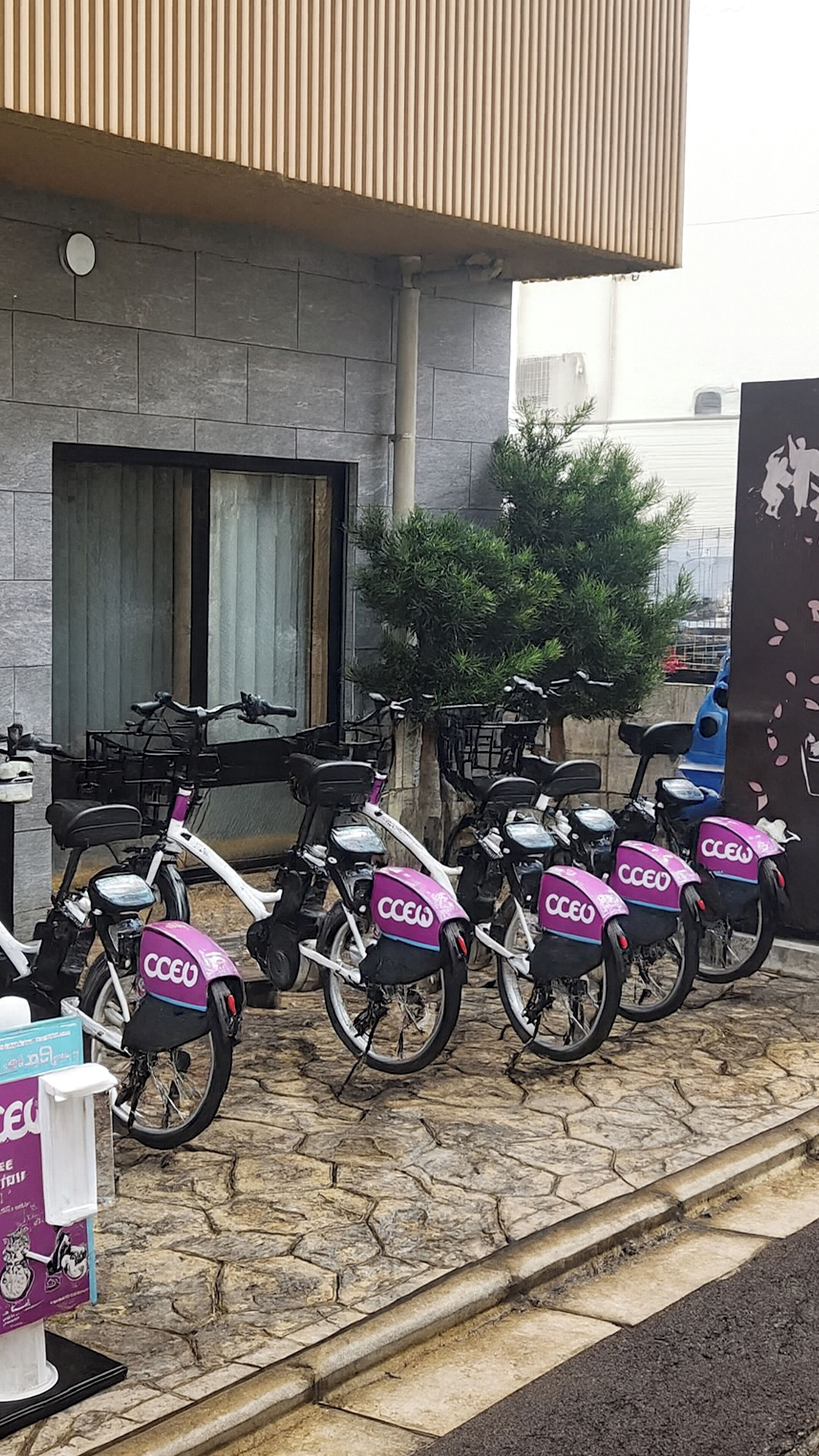 Uma fileira de trotinetes elétricas da marca 'CCEO' estacionadas em frente a um edifício com degraus de pedra e guarda-corpo de metal.