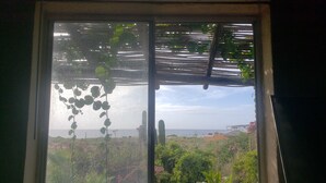 A window with a view of a garden and a distant building.