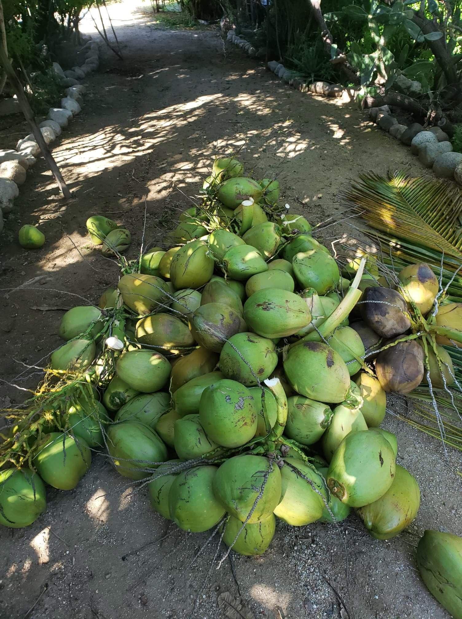 Alimentos y bebidas