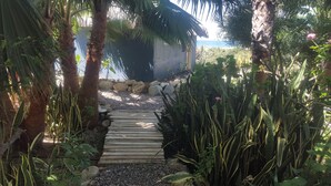 A wooden pathway leading to a building surrounded by tropical vegetation and rocks.