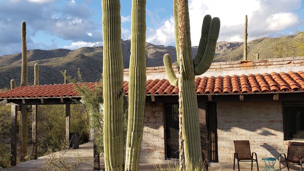 A rustic building with a red-tiled roof, surrounded by tall cacti, set against a mountainous backdrop.