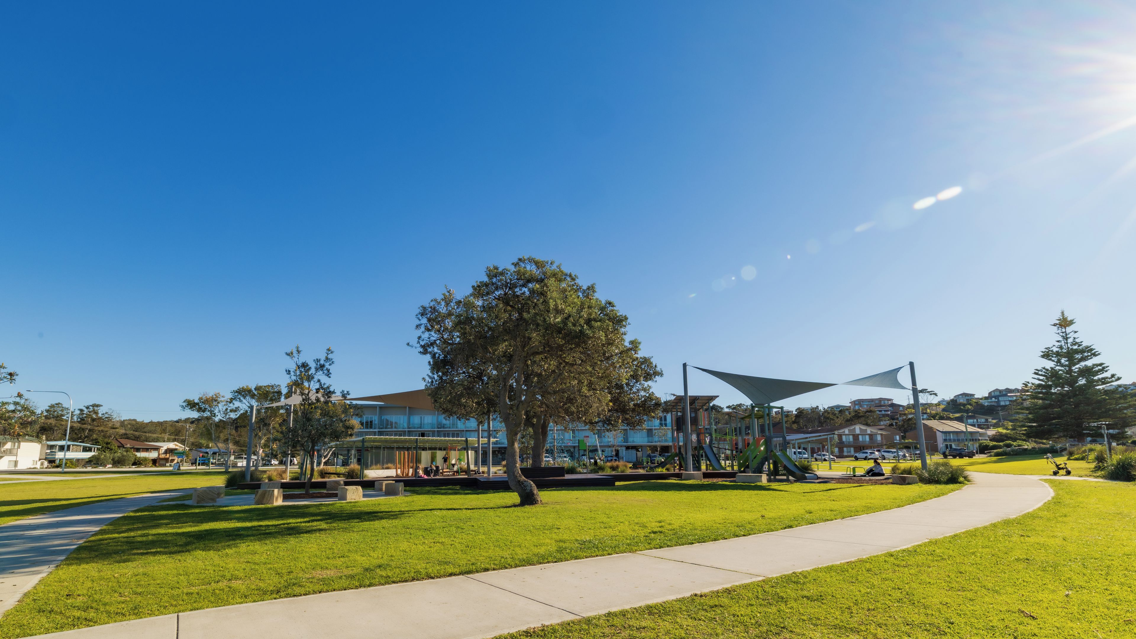 A park with a playground, a large tree, and a building in the background.