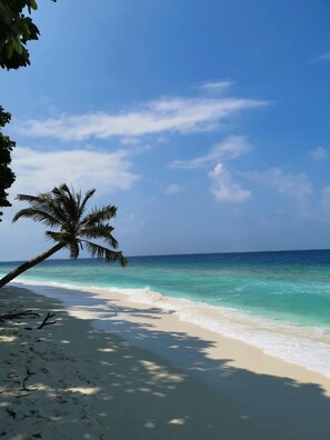 Una playa cerca, sillas reclinables de playa, toallas de playa