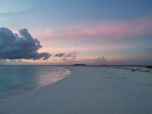 Plage à proximité, chaises longues, serviettes de plage