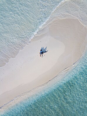 Plage à proximité, chaises longues, serviettes de plage