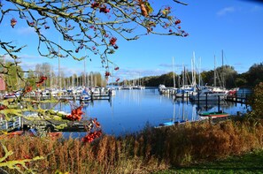 Un port de plaisance où sont amarrés des bateaux, entouré d’arbres et de végétation.