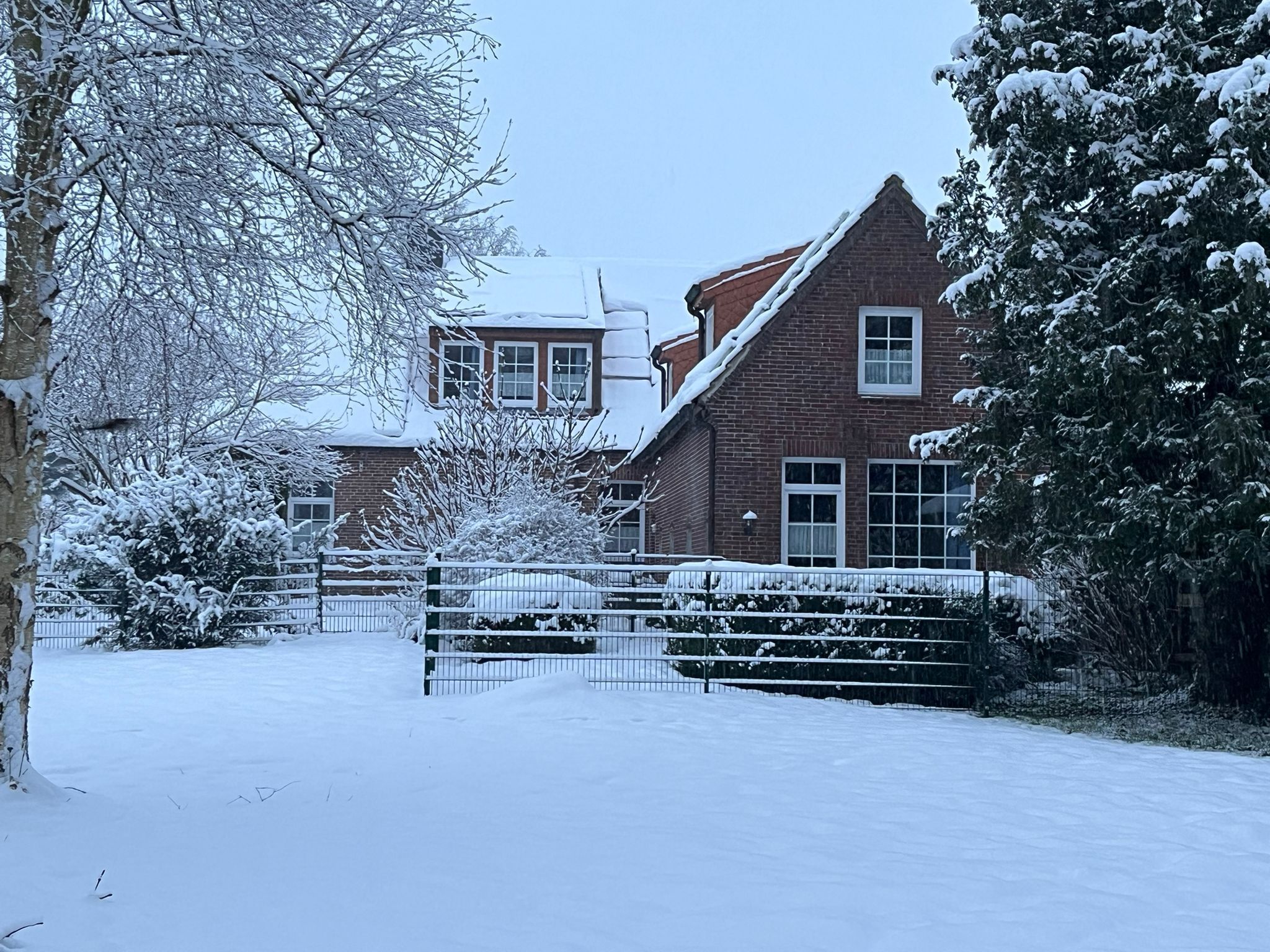 A snow-covered residential area with a brick house, a fenced yard, and snow-laden trees.