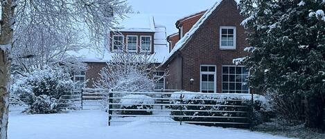 A snow-covered residential area with a brick house, a fenced yard, and snow-laden trees.